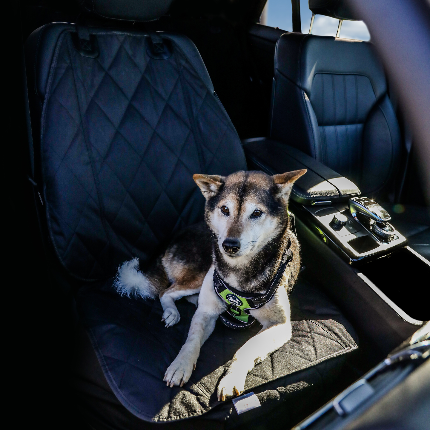 Barkroad seat deals cover