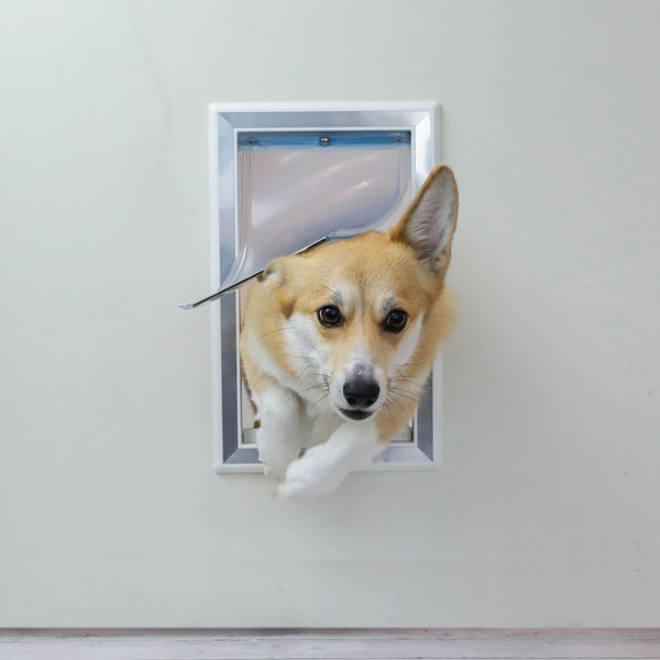 Medium Plastic Dog Door With Aluminum Lining BarksBar