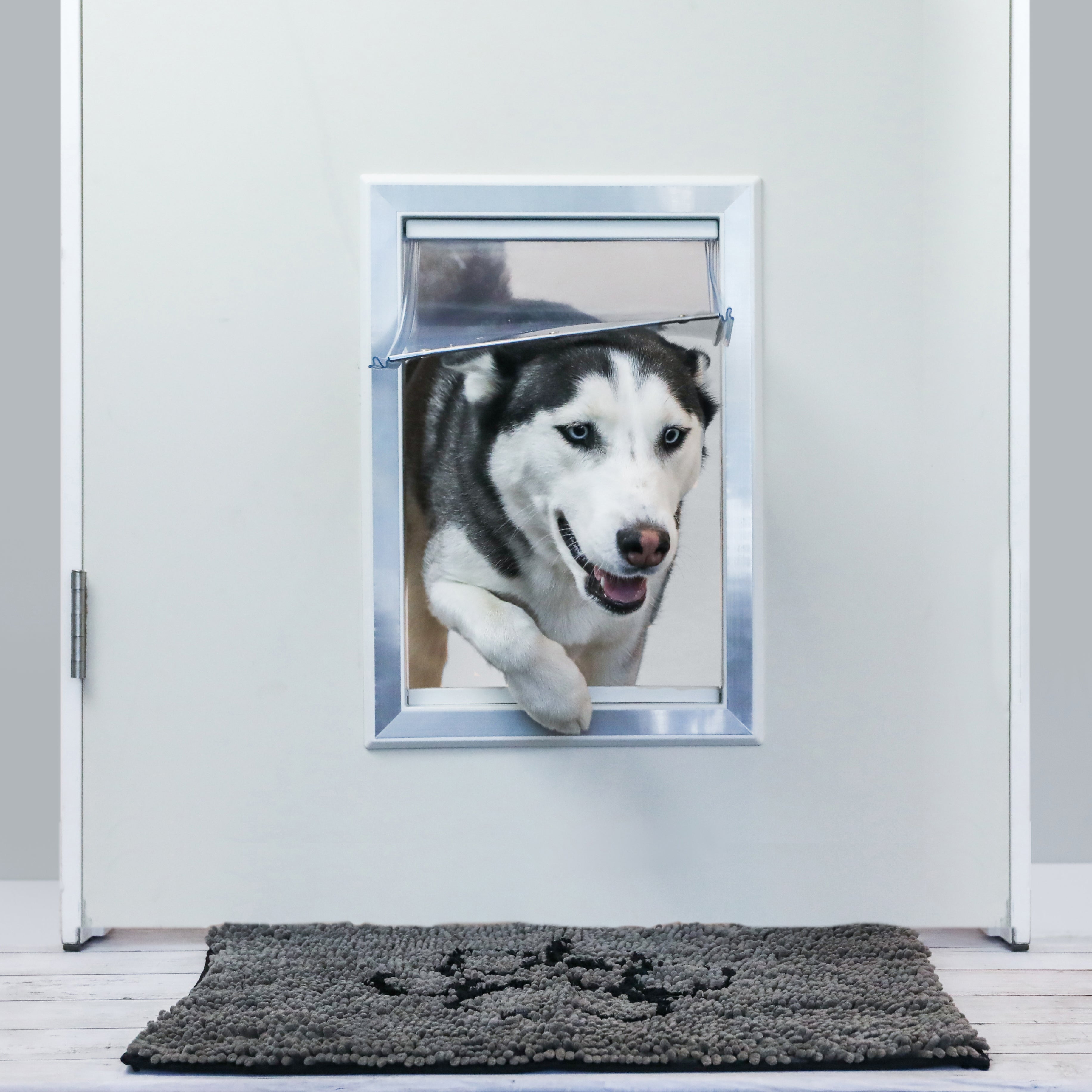 Large Plastic Dog Door With Aluminum Lining – BarksBar
