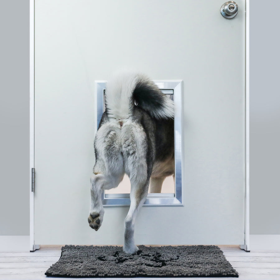 Large Plastic Dog Door With Aluminum Lining