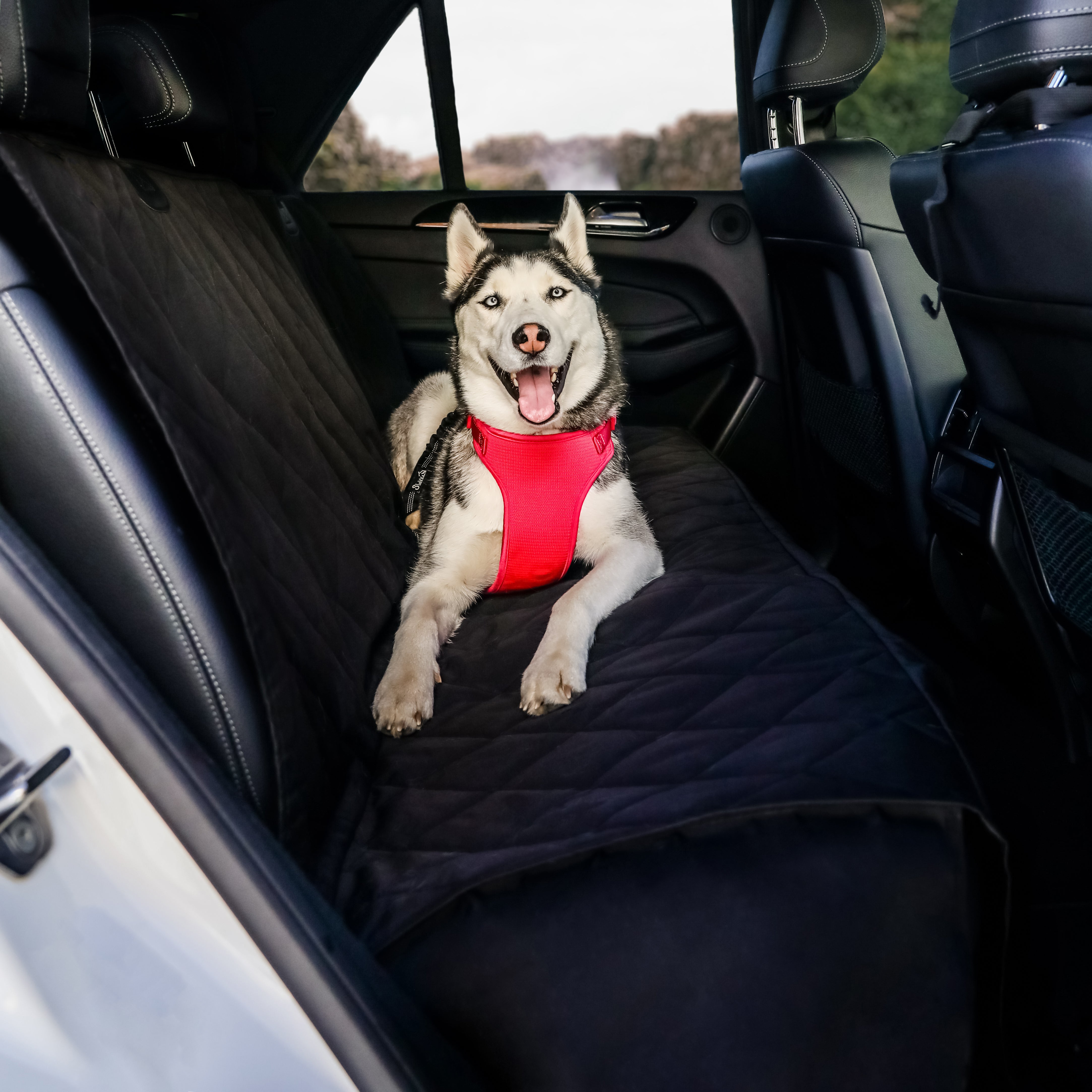 Luxury Pet Car Seat Cover with Seat Anchors for Cars Trucks and SUV Black