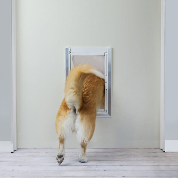 Medium Plastic Dog Door With Aluminum Lining BarksBar