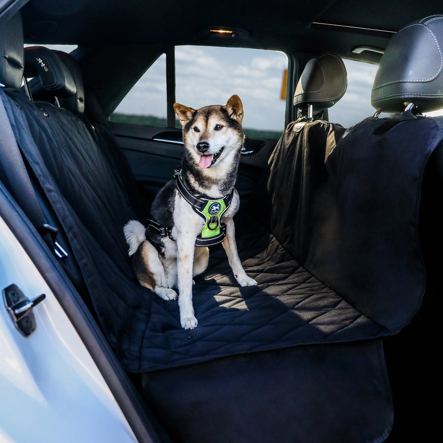 Dog seat covers for cars 